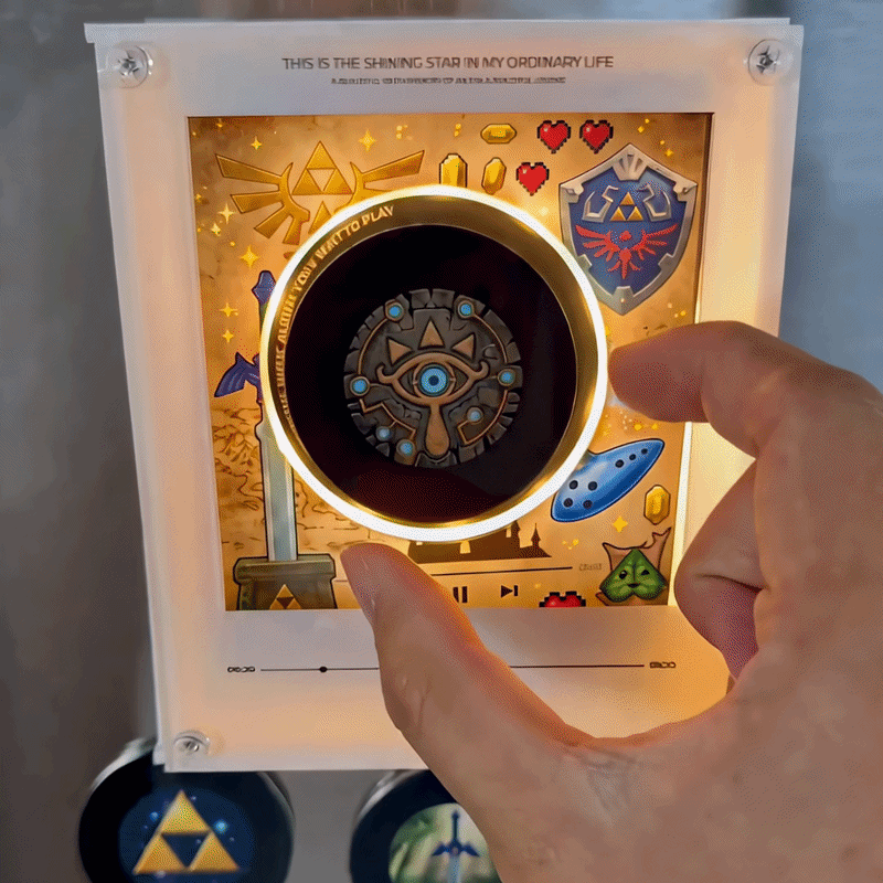 Zelda Vinyl Frame